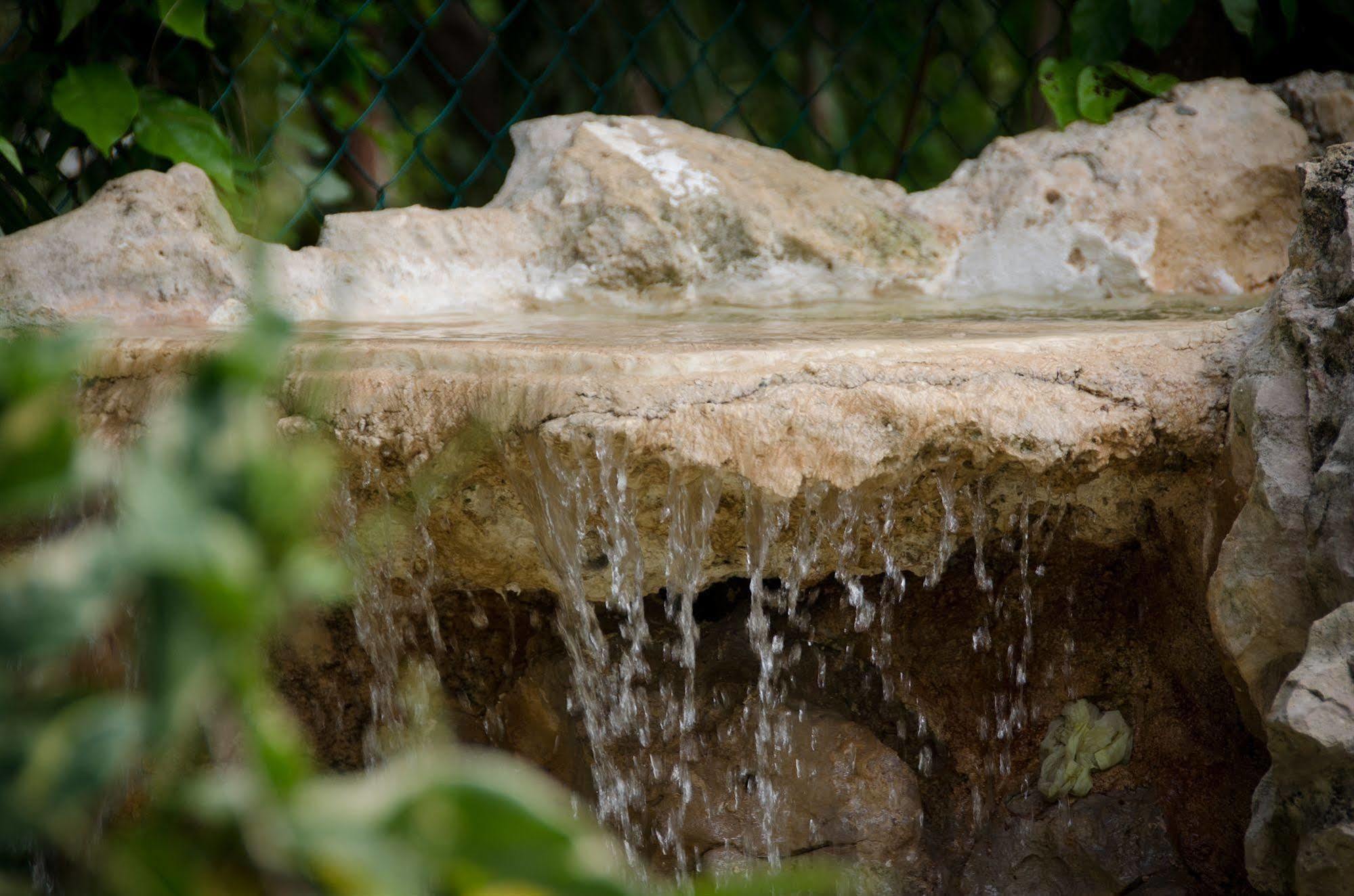 Green Oasis Home Boutique Playa del Carmen Exterior foto