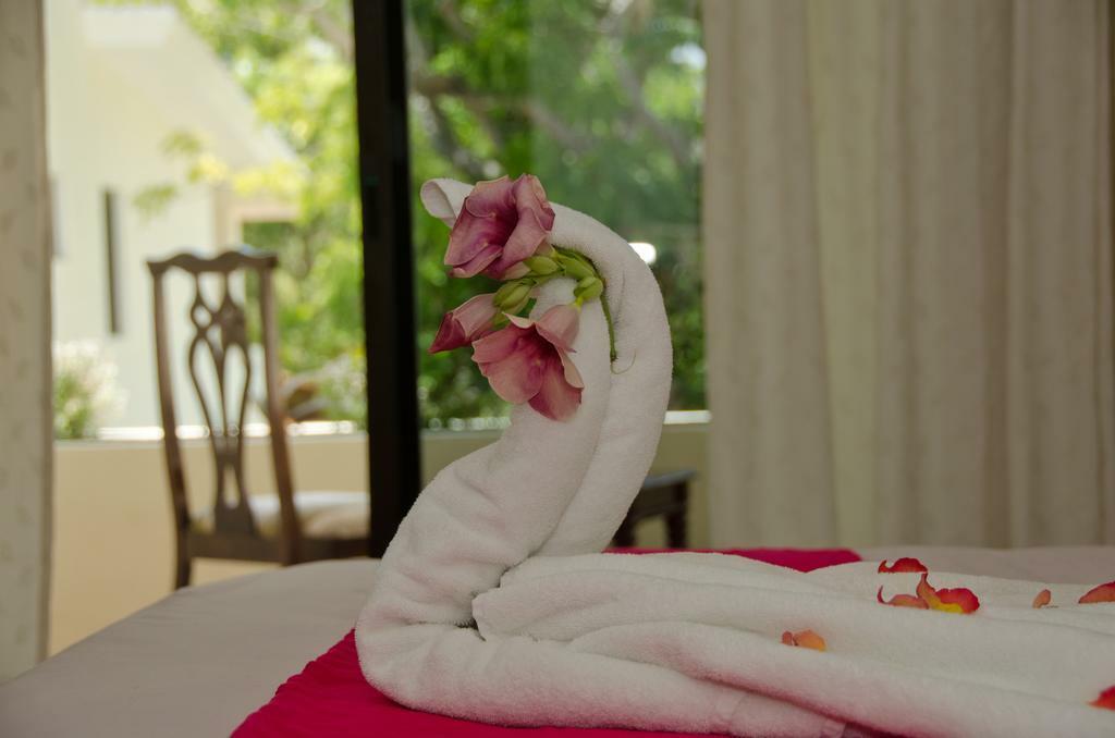 Green Oasis Home Boutique Playa del Carmen Exterior foto